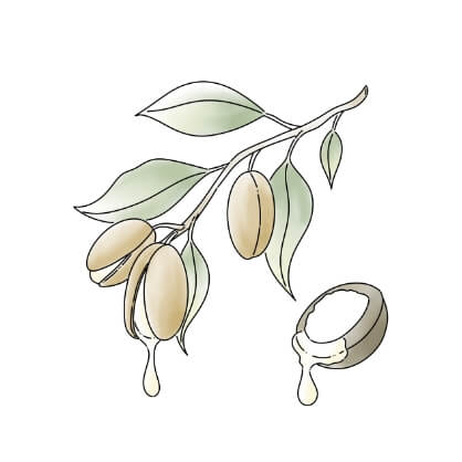 アルガニアスピノサ核油